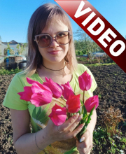 Елена Корабельникова